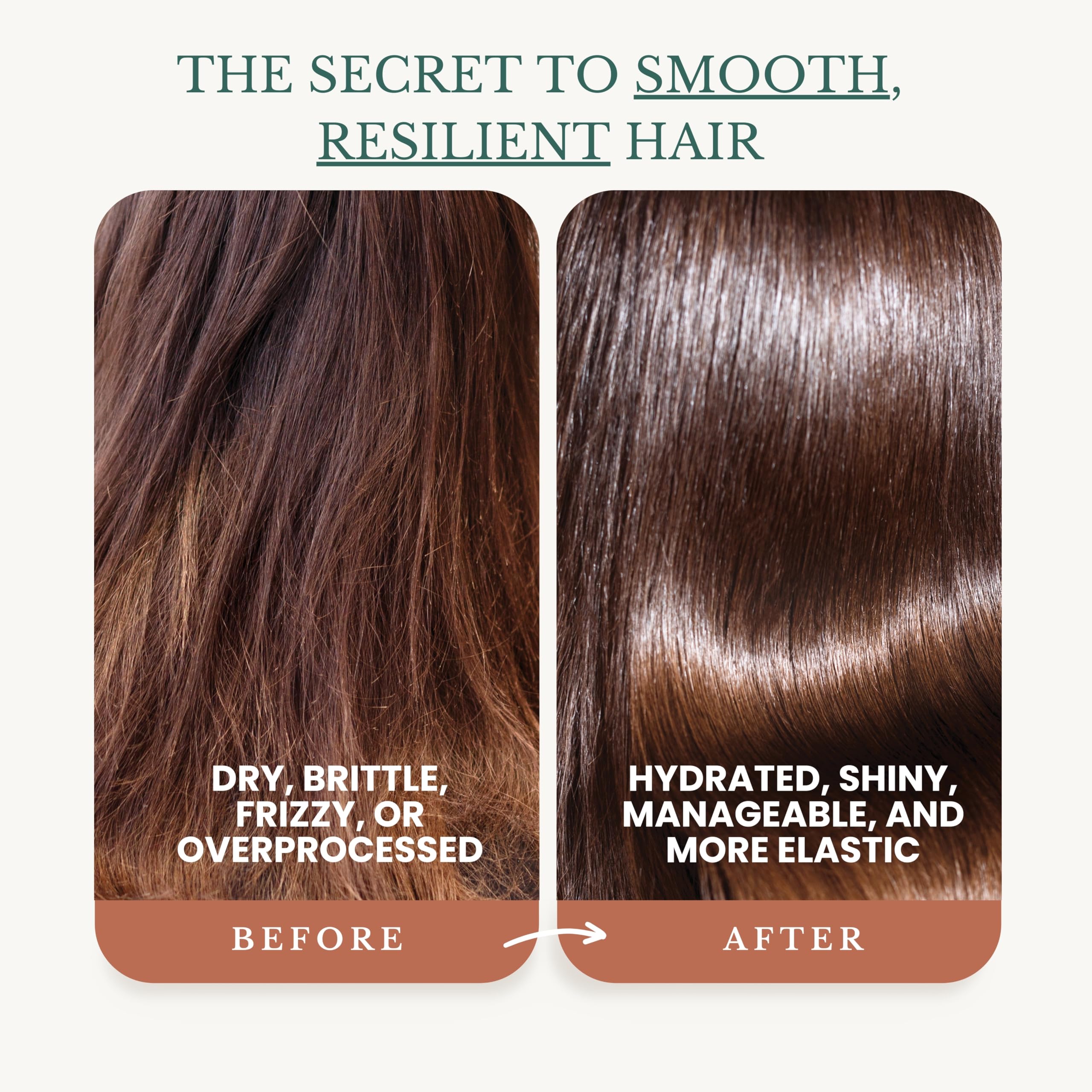 EDENIKA BOTANICALS Biotin ingredients graphic highlights nourishing oils for stronger-feeling hair