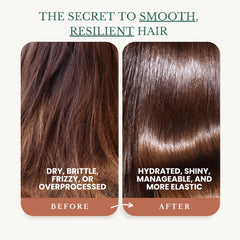 EDENIKA BOTANICALS Biotin ingredients graphic highlights nourishing oils for stronger-feeling hair