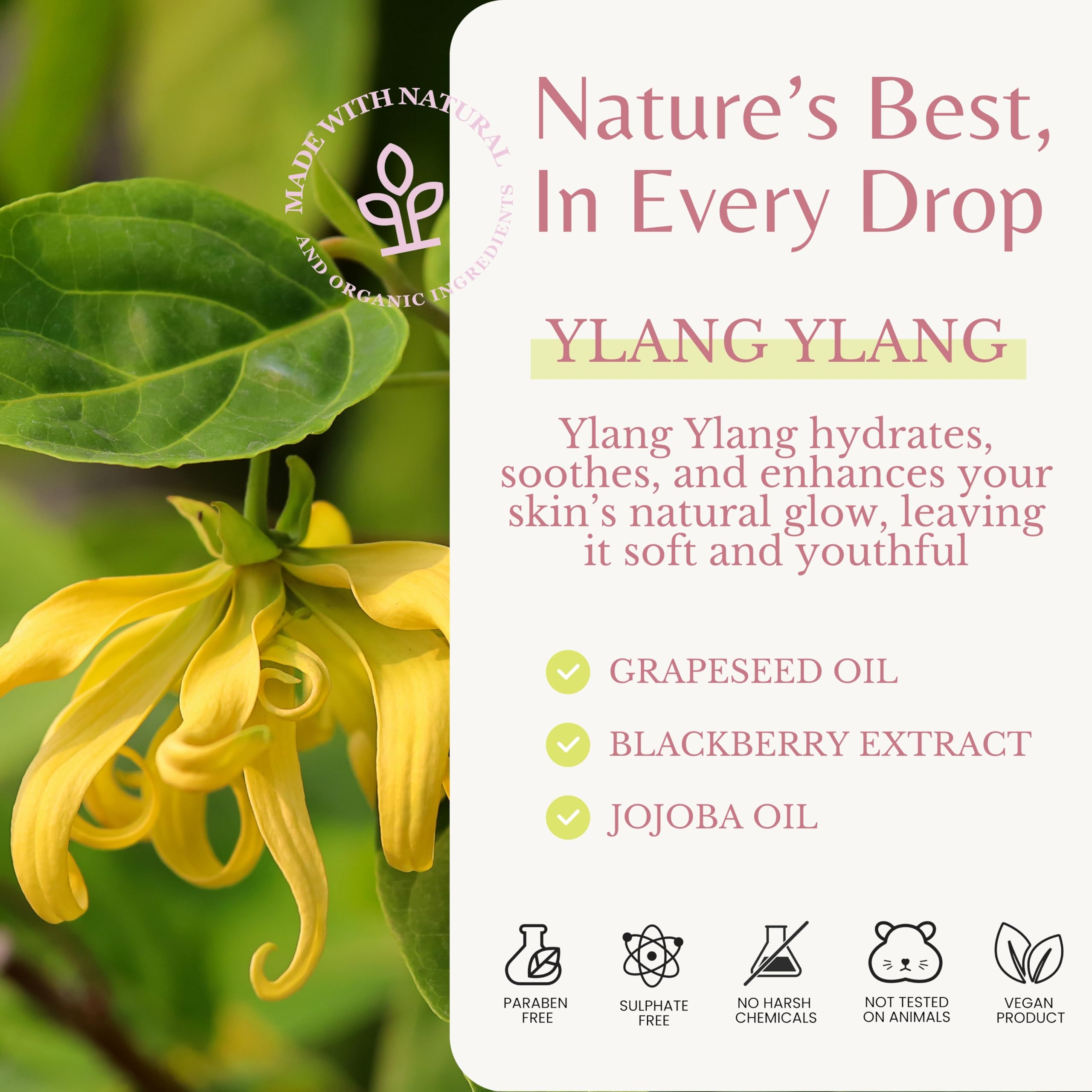 EDENIKA BOTANICALS Jojoba oil blend image suggests gentle softness and moisture retention