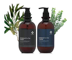 Elabore Eucalyptus & Tea Tree Shampoo bottle front showing refreshing scalp cleanse