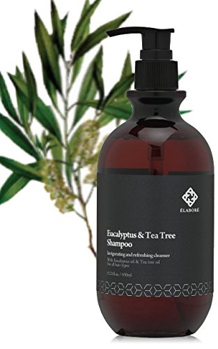 Elabore Eucalyptus & Tea Tree Shampoo label close-up highlights natural ingredients