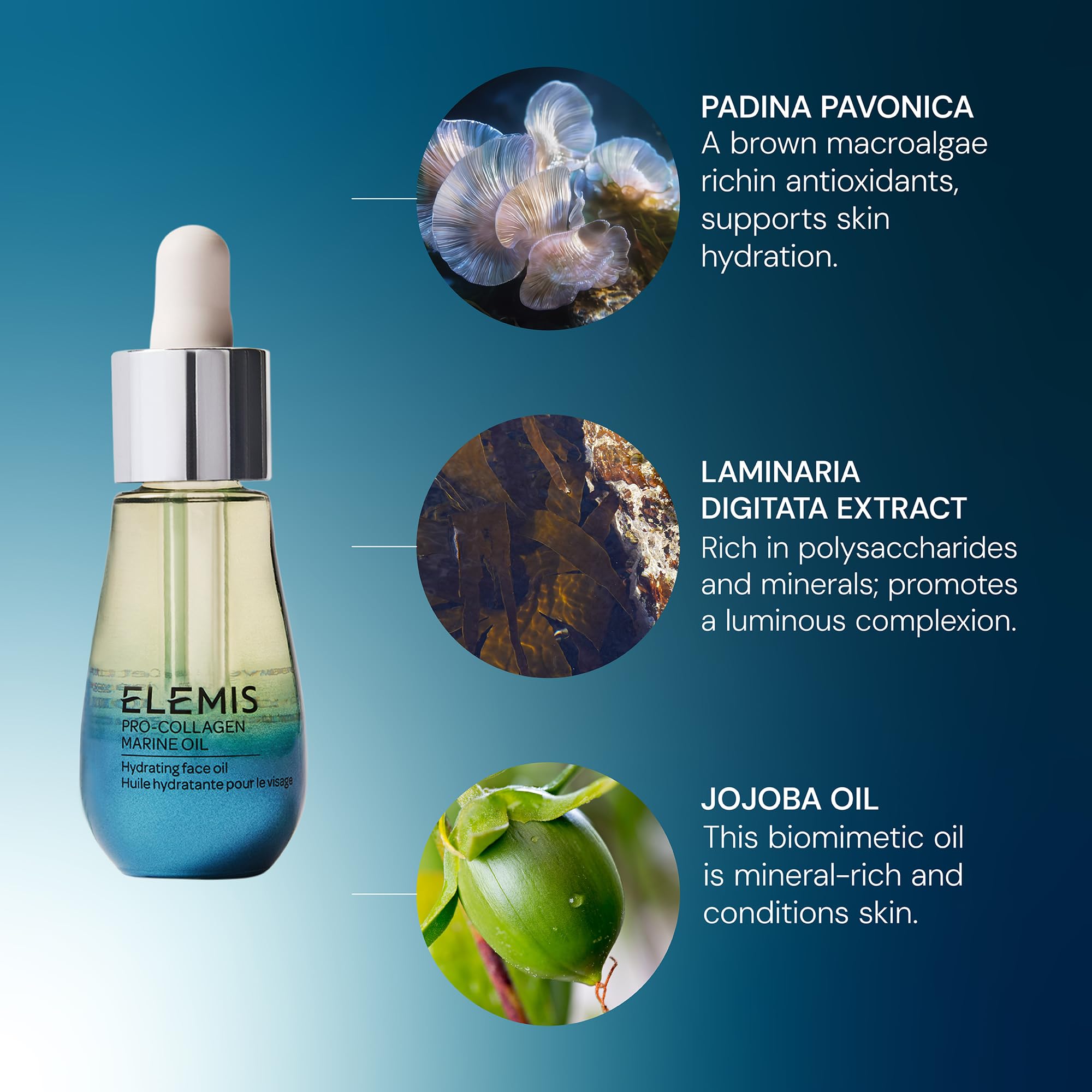Elemis Pro-Collagen Marine Oil seaweed ingredients highlight nourishing blend