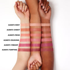 e.l.f. primer-infused matte blush brush-application demonstrates buildable color on cheeks.