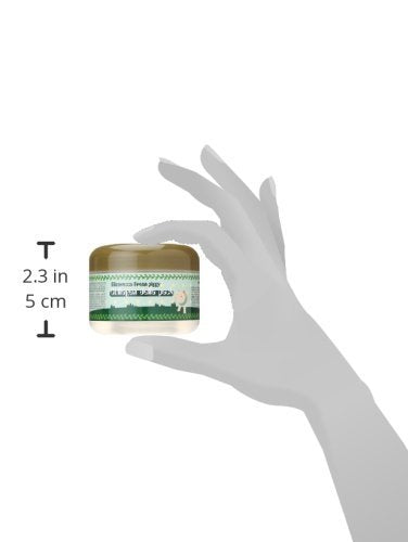 Elizavecca Green Piggy daily skincare routine setup with the cream