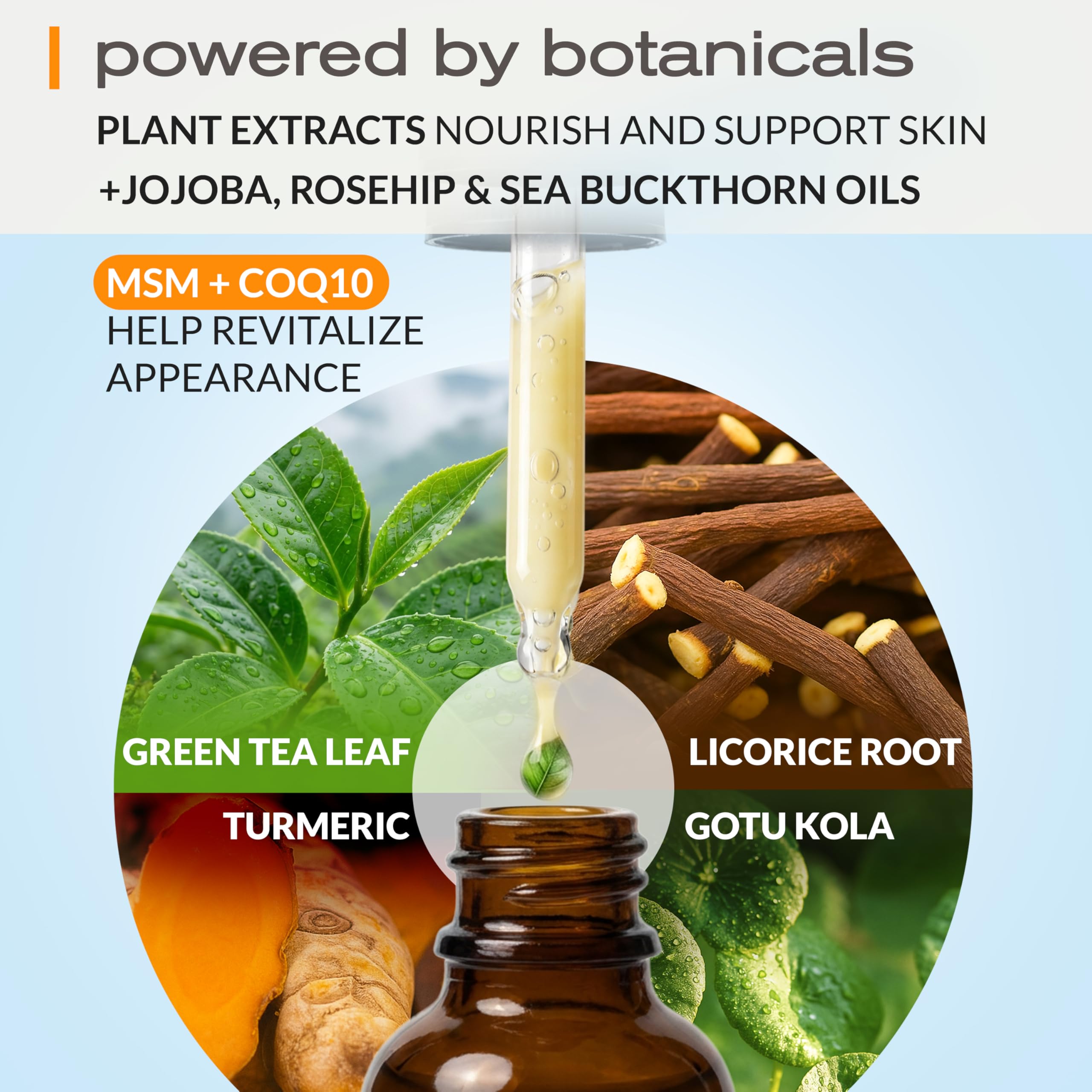 Ella and Eden serum ingredients map highlights aloe, HA, and botanicals