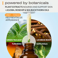 Ella and Eden serum ingredients map highlights aloe, HA, and botanicals