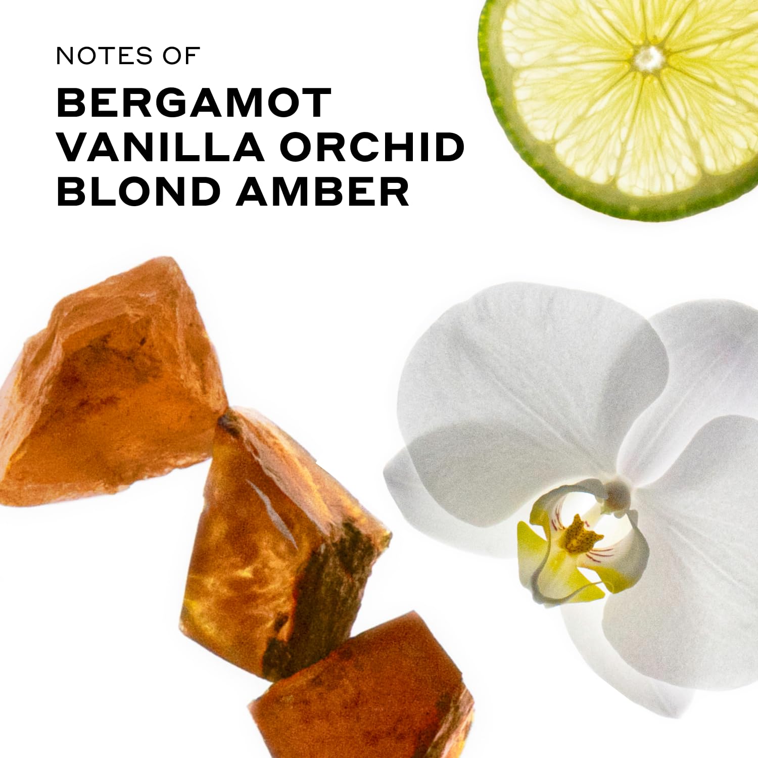 Blond Musk features waterlily and rose for a delicate bouquet.