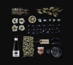 ELMOOSA Caviar Leave-In frizz-control showcases durable boundary against humidity for sleek results