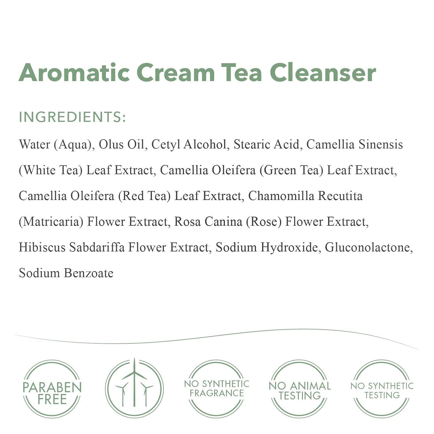 green tea infusion highlights antioxidant cleansing