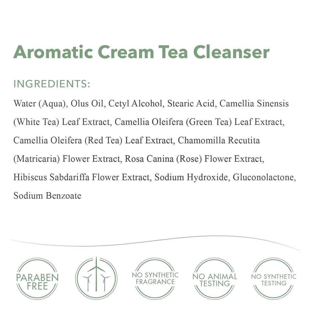 green tea infusion highlights antioxidant cleansing