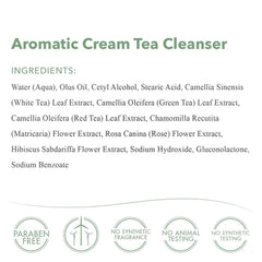 green tea infusion highlights antioxidant cleansing