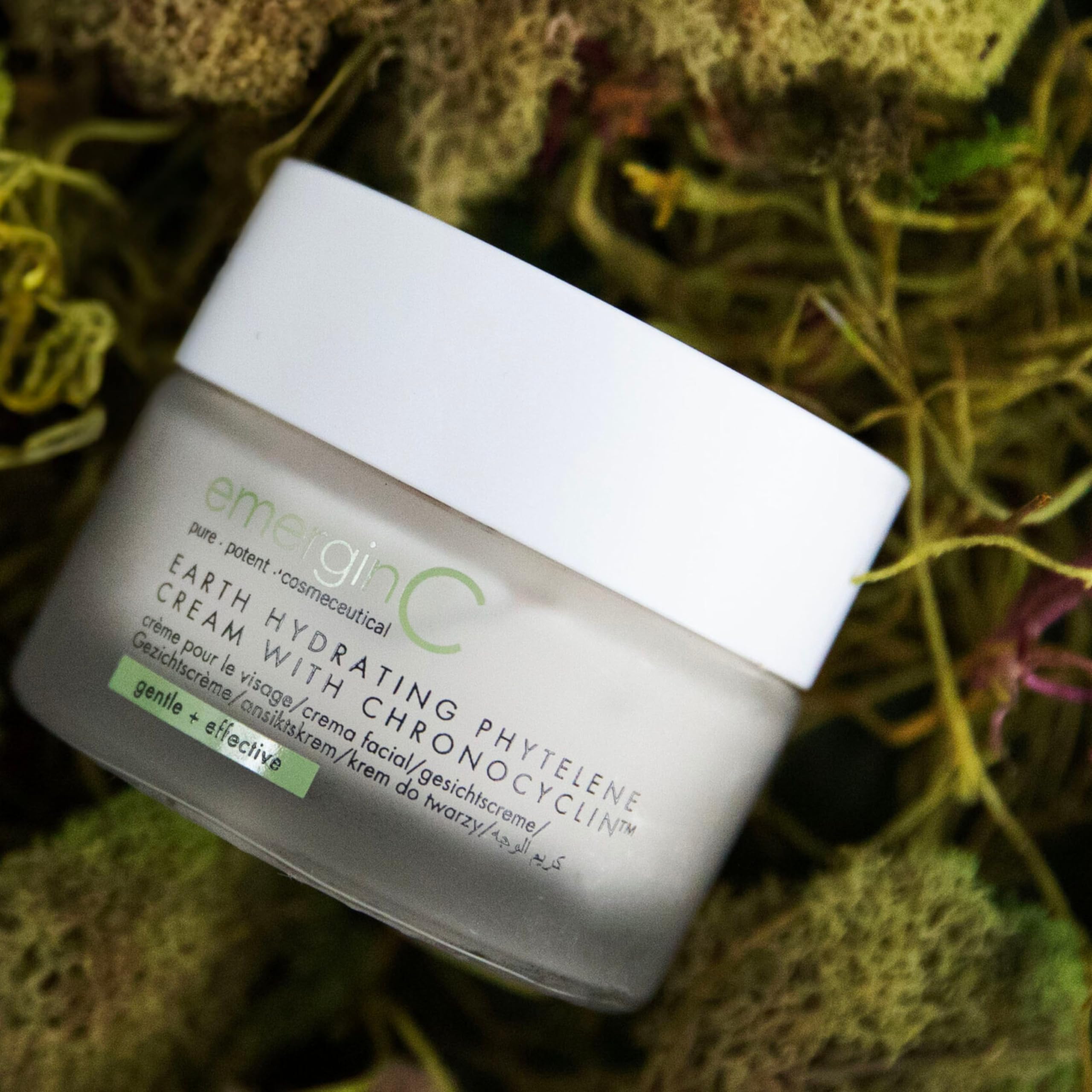 emergin C Earth Hydrating Phytelene Cream Vitamin E presence supports gentle antioxidant care.