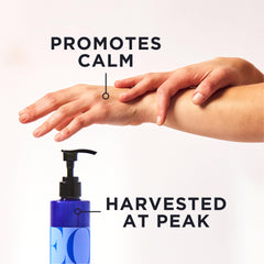 Close-up of EO Body Lotion bottle highlighting calming lavender scent.