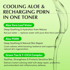 EQQUALBERRY Aloe PDRN Toner swatches reveal light, refreshing texture for sensitive skin