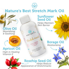 Era Organics stretch-mark oil pregnancy-nourishment supports elasticity and daily care.