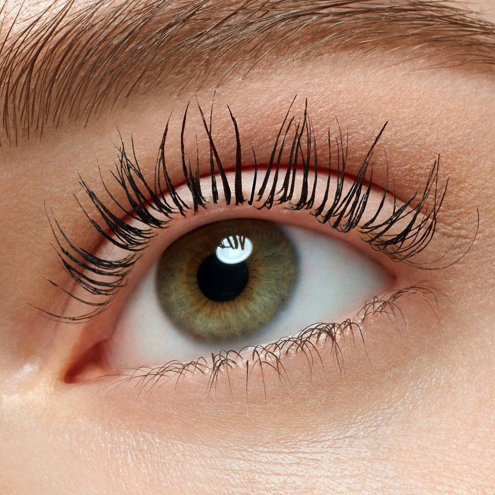 essence Lash Without Limits waterproof finish image emphasizing smudge-proof, long-wearing lashes.