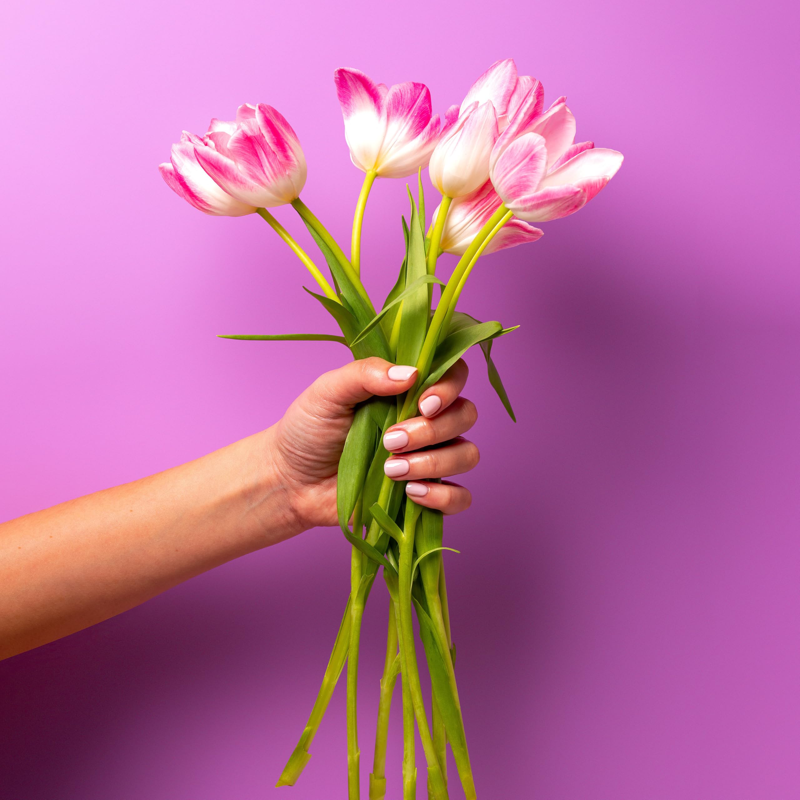 Lifestyle shot emphasizes a classic pink manicure for daily wear.