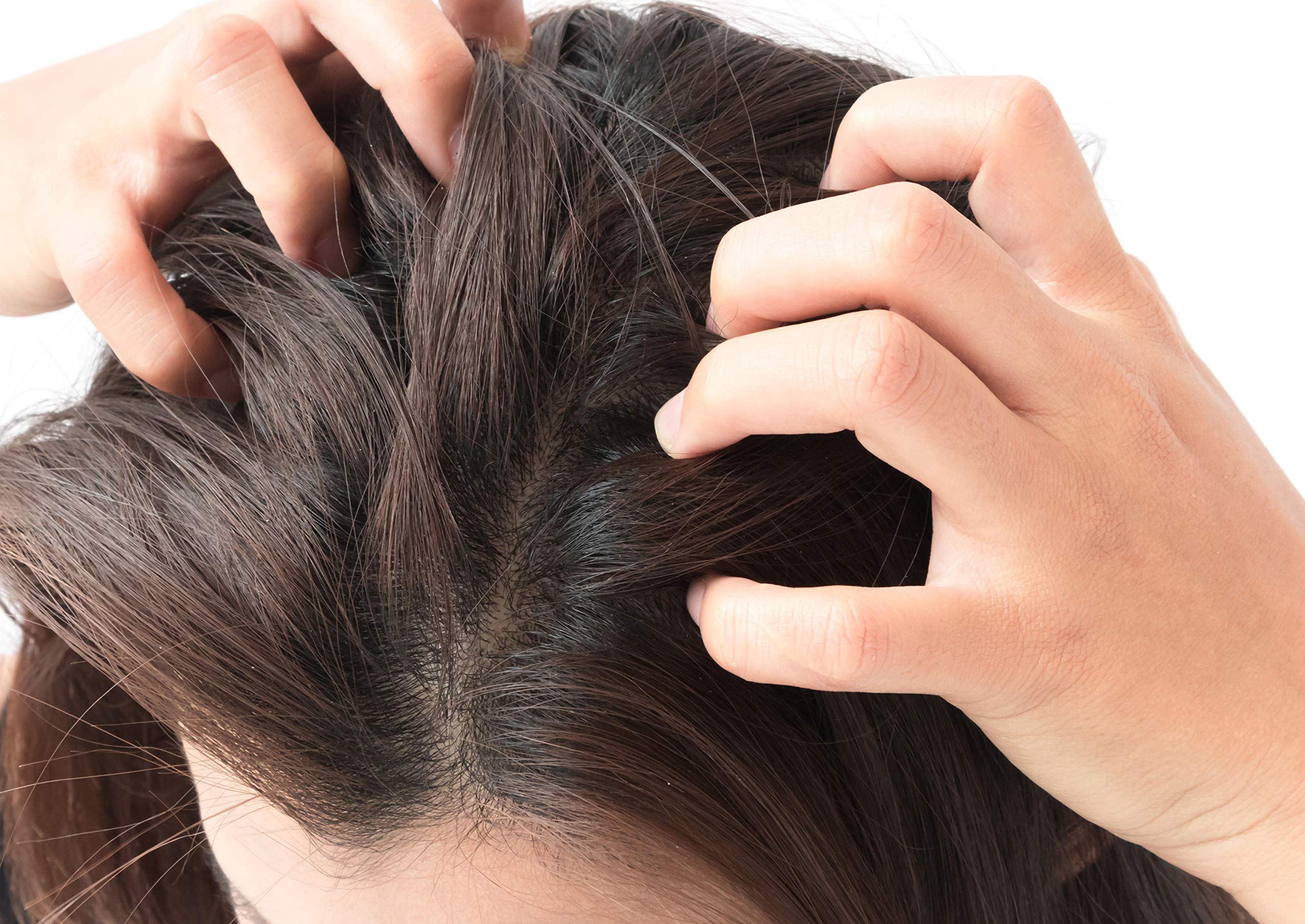 Ethereal Nature peppermint cooling feature of scalp refreshment.