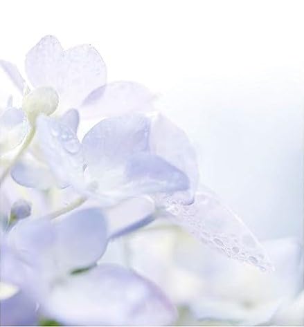 Etivel Rain label texture with scent notes to invite everyday refresh