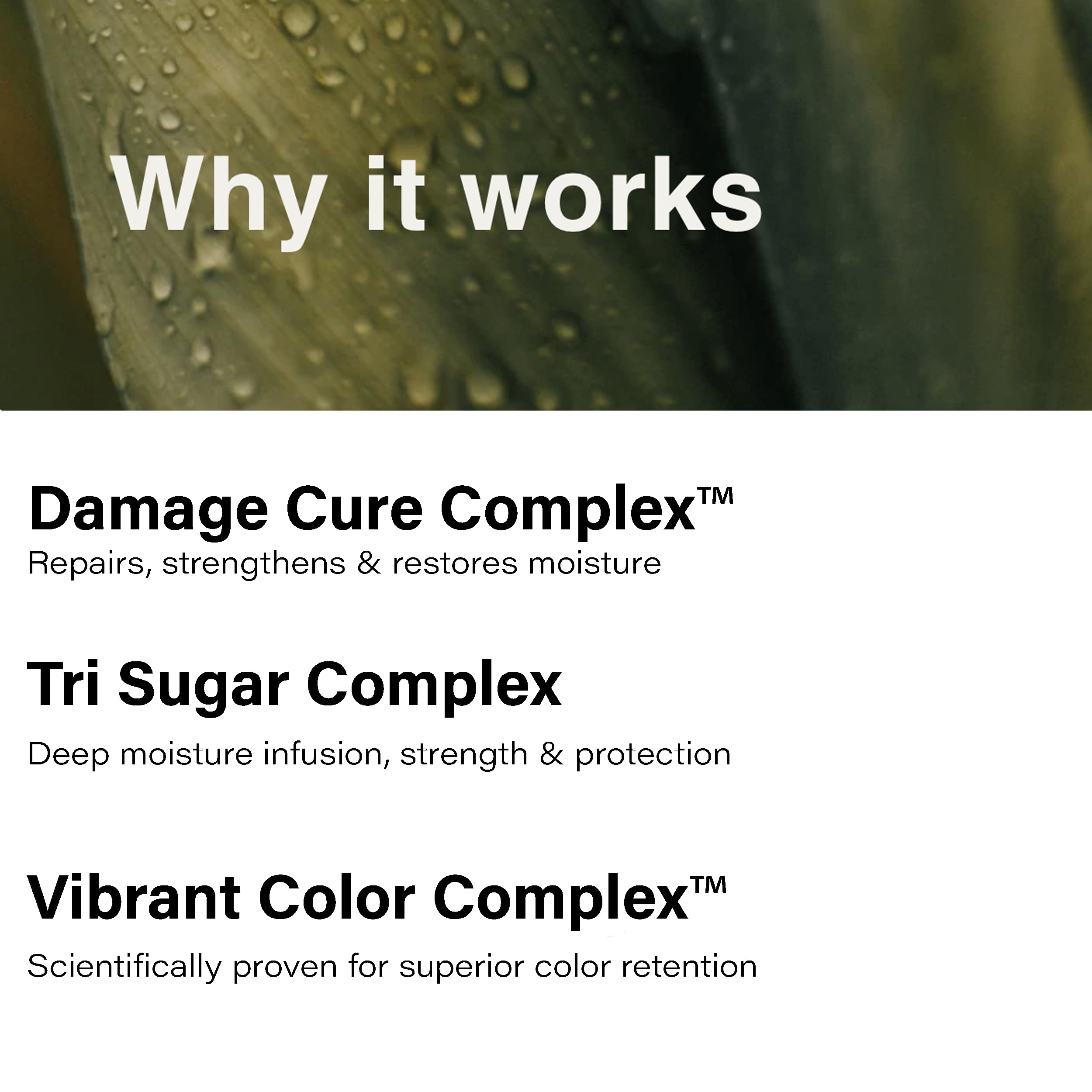 Eufora Beautifying Elixirs Moisture Intense Shampoo splash suggesting hydration for frizz-free styling