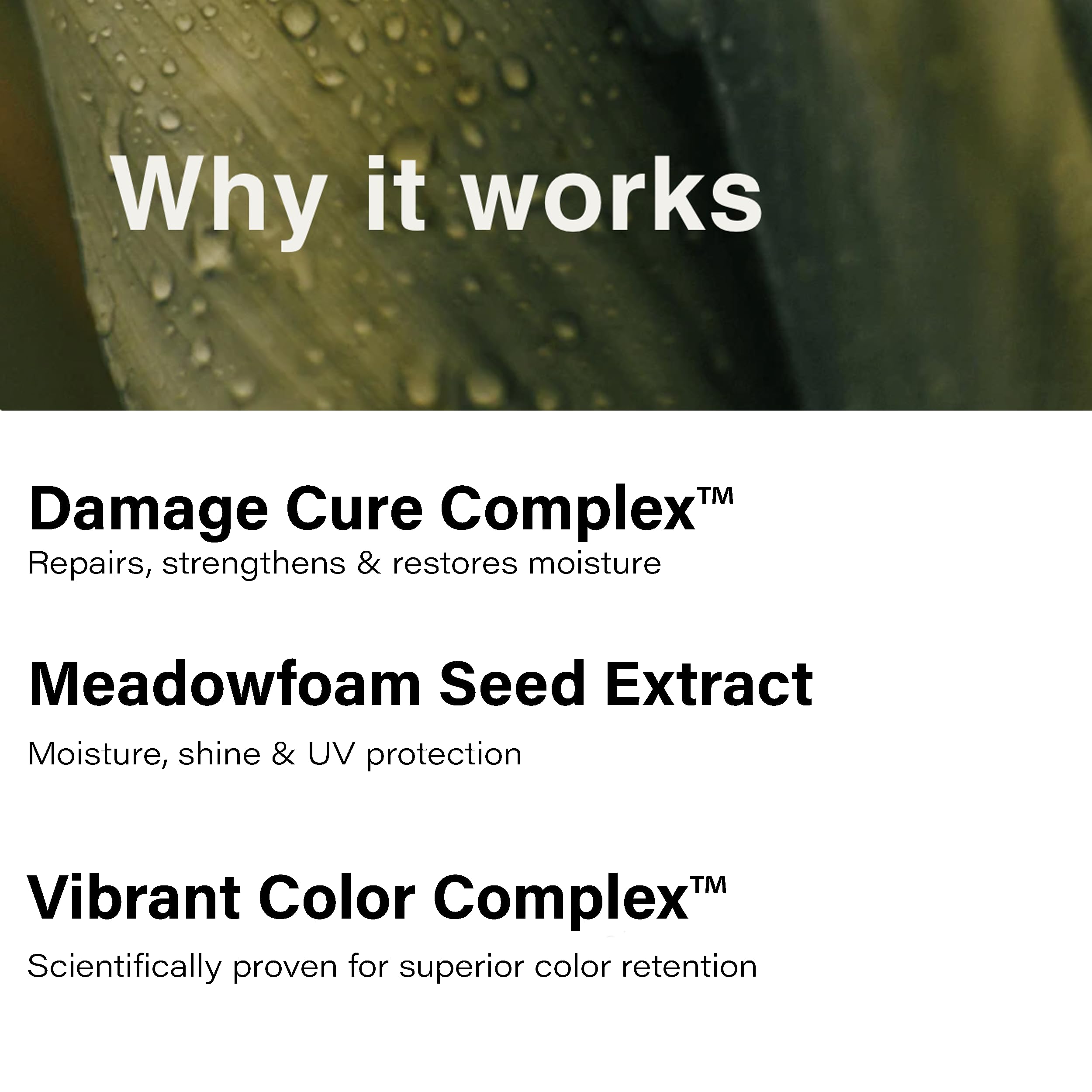 Color-treated hair treated with Eufora Bodifying Conditioner.