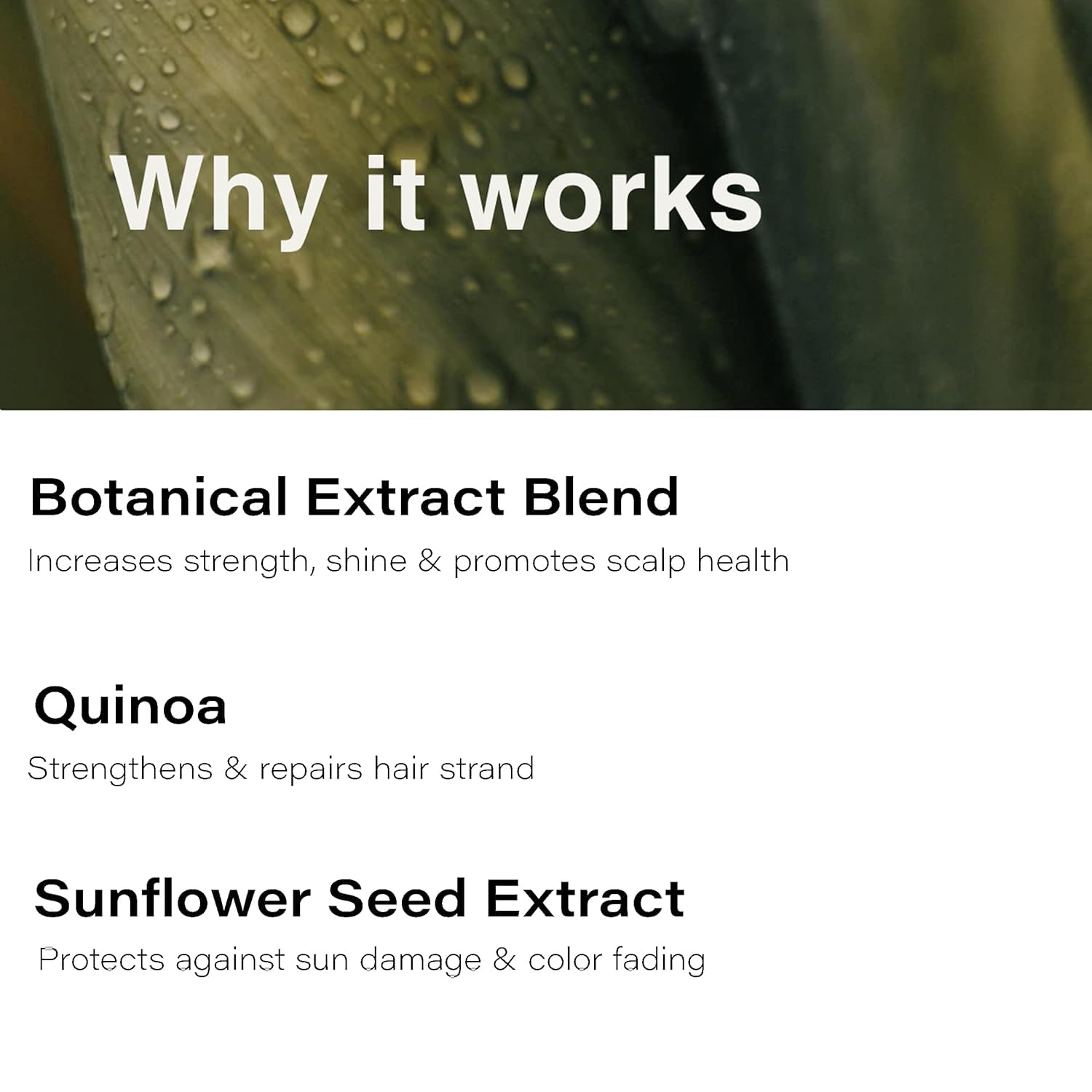 Frizz control shot featuring Eufora Hydration Leave-In Conditioner for sleek styling.