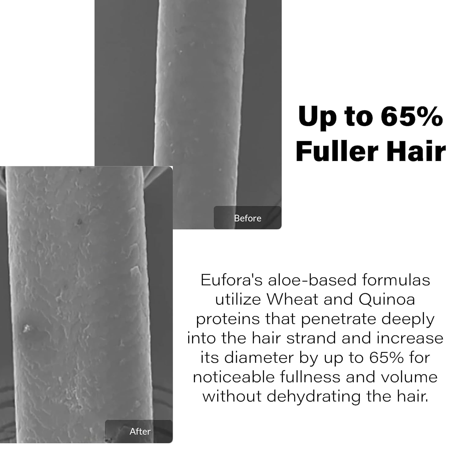 Eufora Volume Fusion fullness on fine hair for added volume.