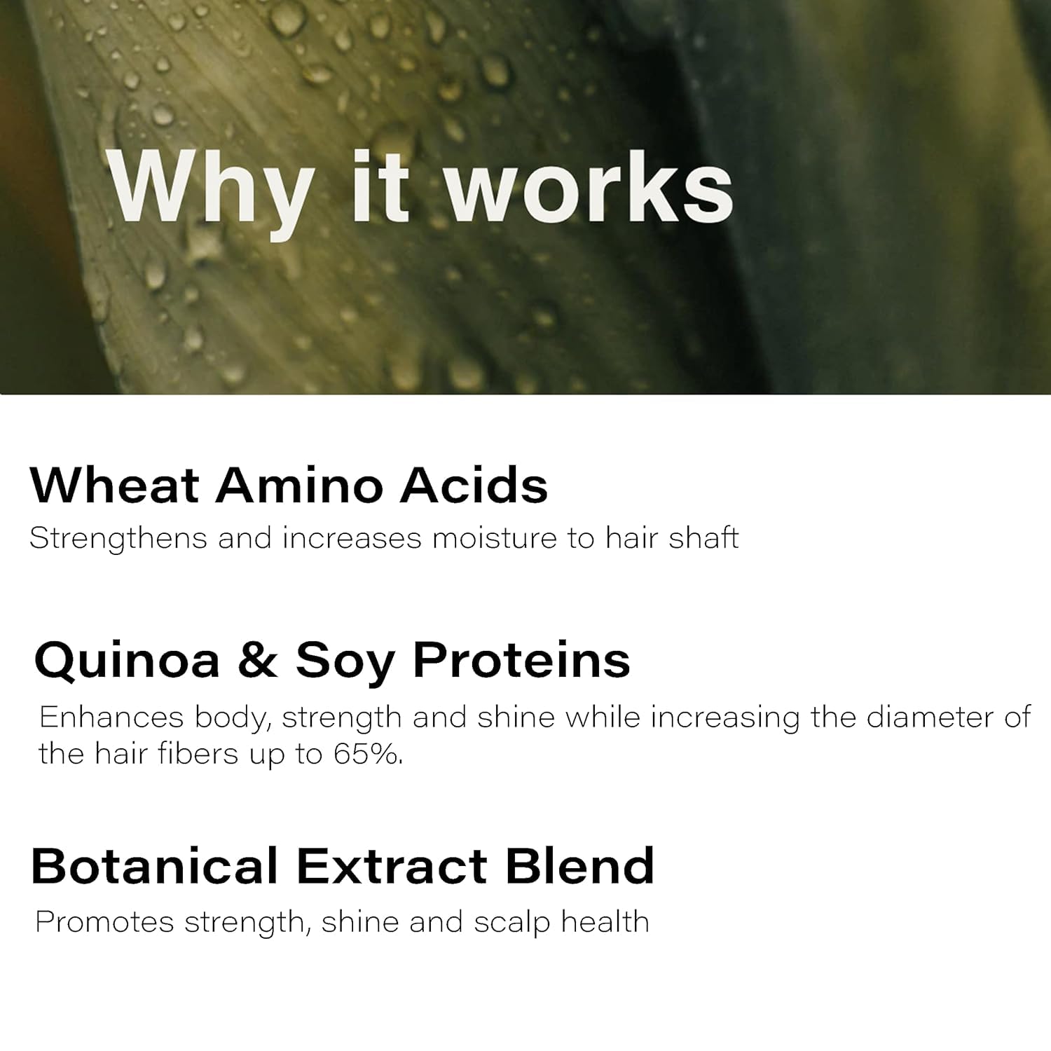 Eufora Volume Fusion towel-dried application for lift and shape.