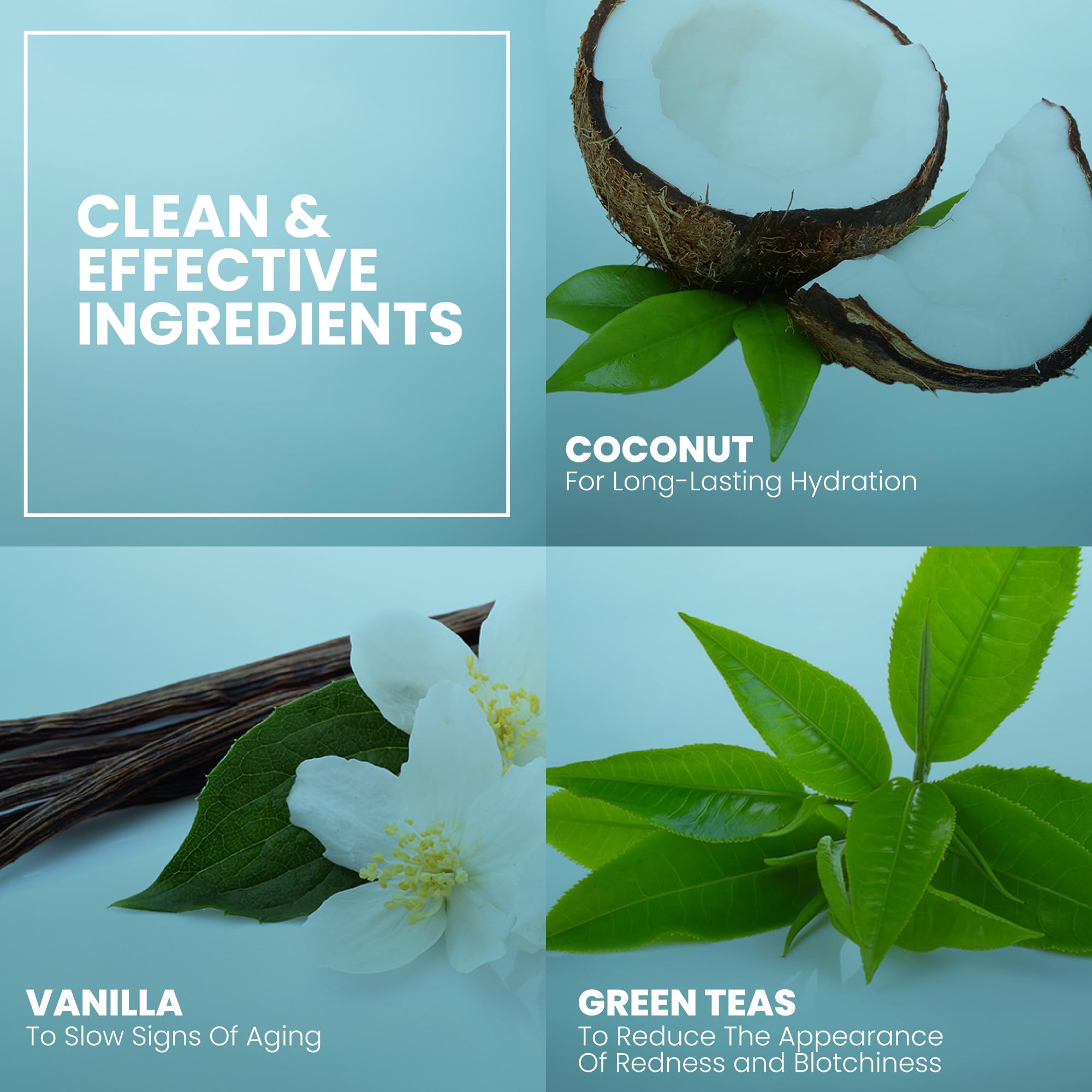 Eva Naturals Vanilla Bean Night Cream green tea extract supports calming nighttime care