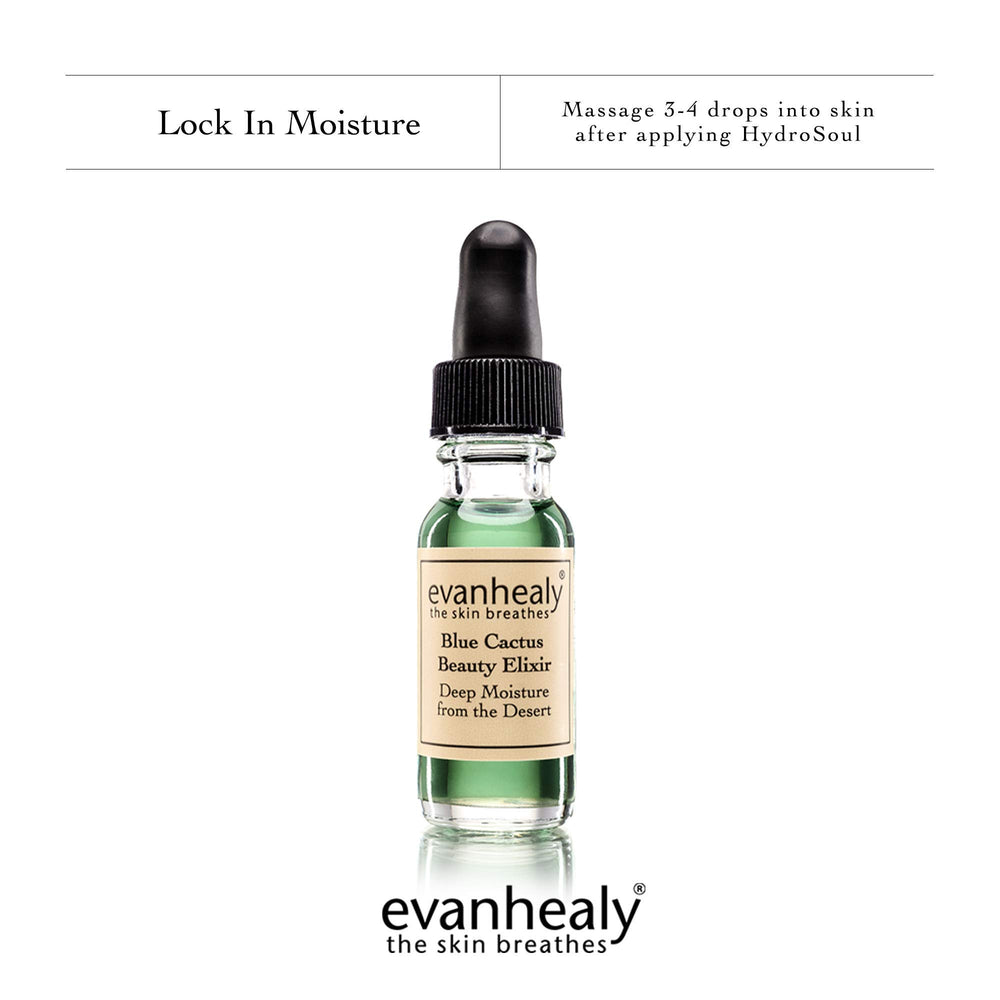 Evanhealy Blue Cactus skin application scene shows daytime or nighttime use.