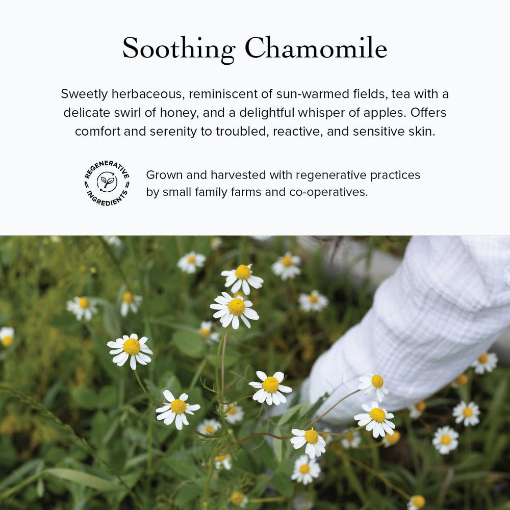Evanhealy Lavender Chamomile hydrosols steam, calming cleanse aromatics.