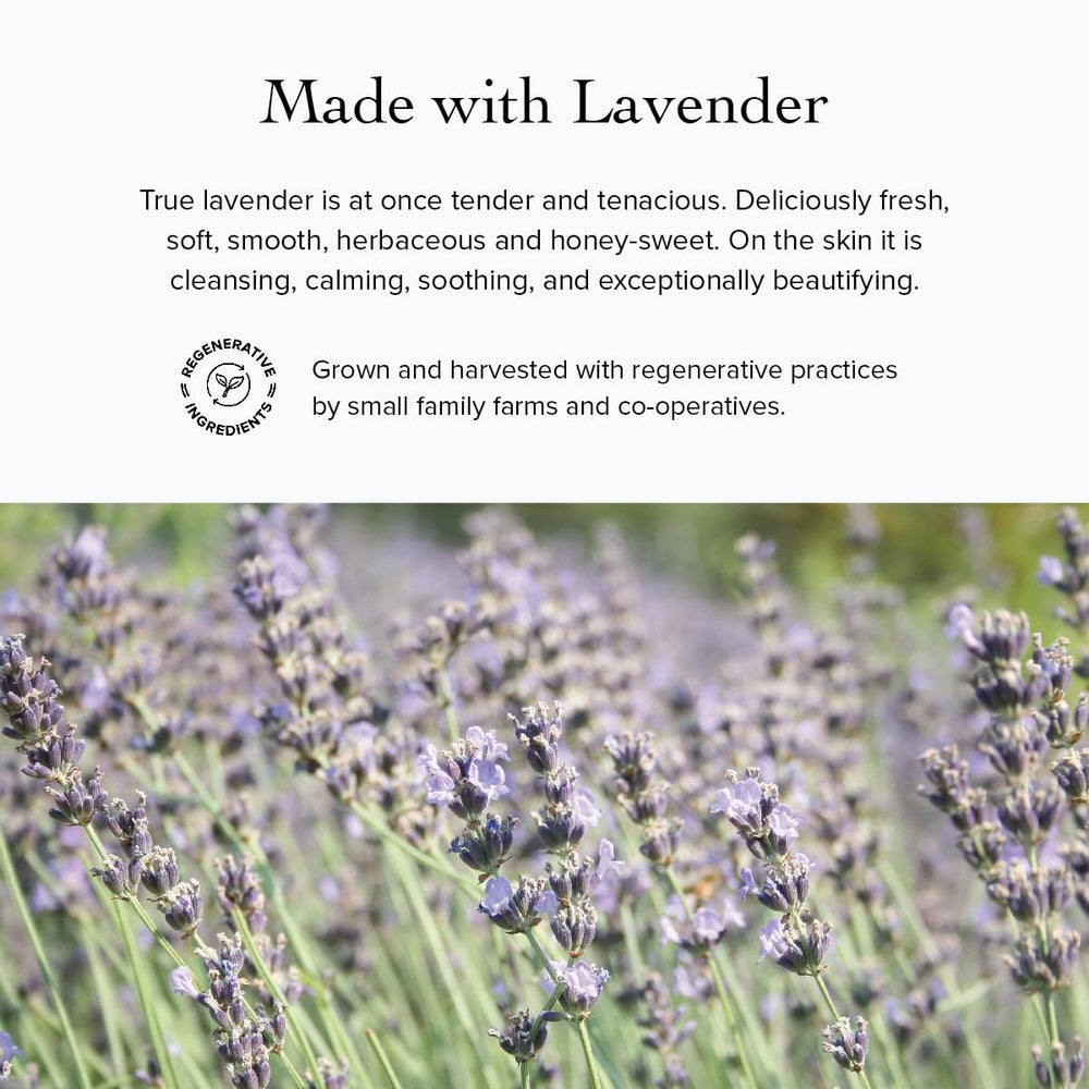 evanhealy Lavender HydroSoul lavender flowers detail showing natural origin
