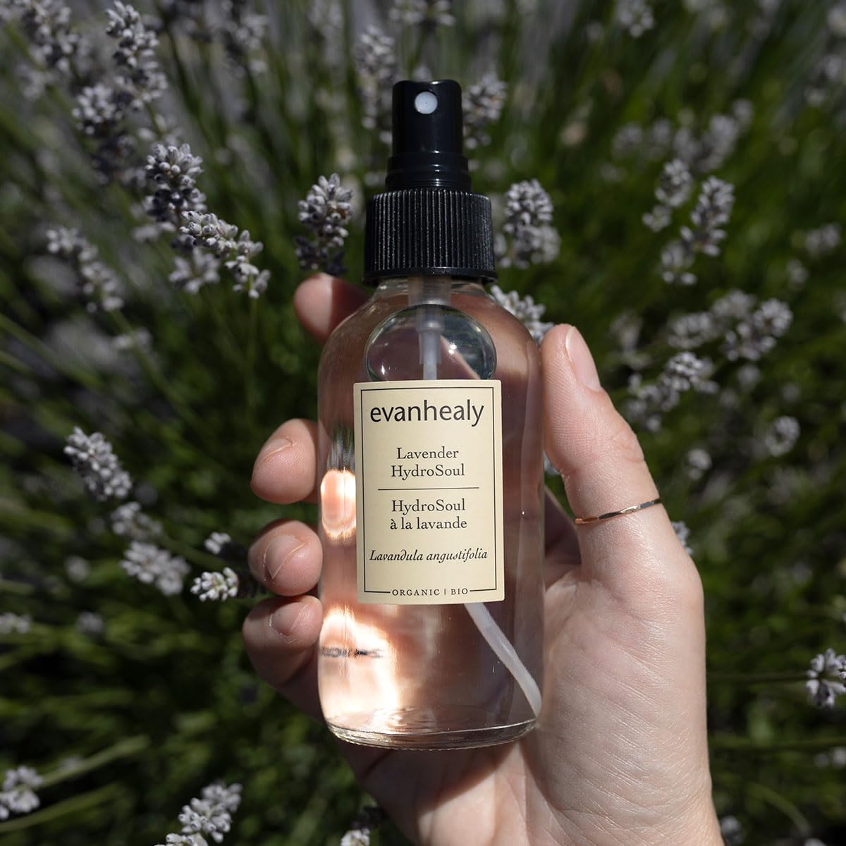 evanhealy Lavender HydroSoul being applied to skin for a refreshing tone