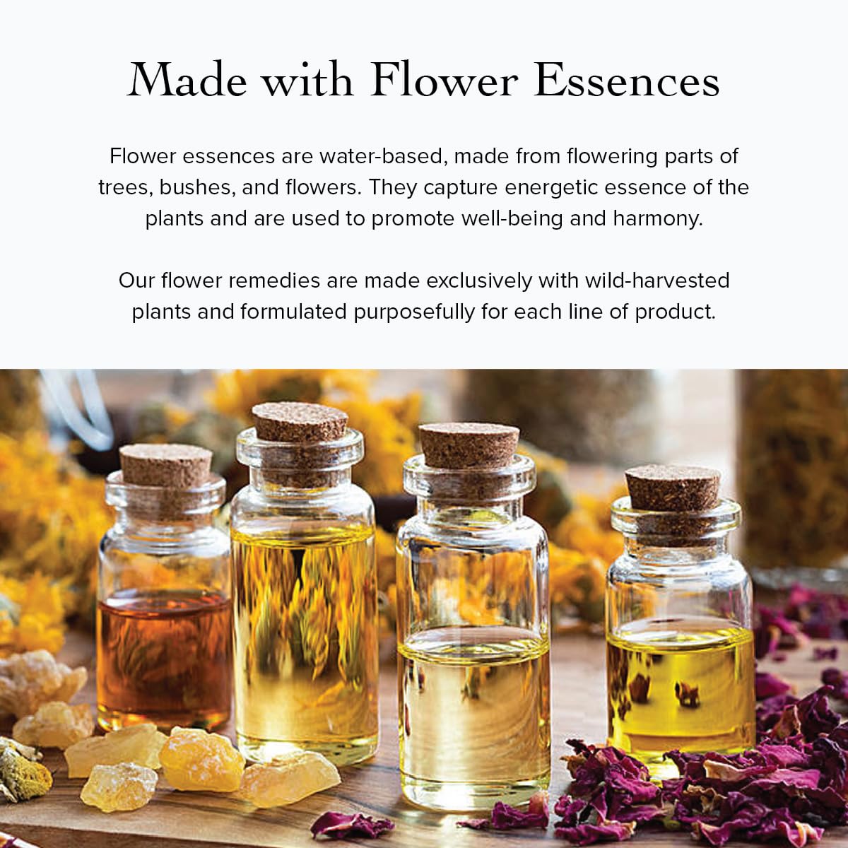 Evanhealy Plant oils blend, pore refining for soft, resilient skin.