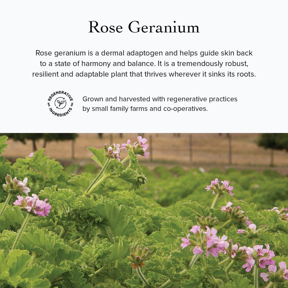 evanhealy Rose Cleansing Milk hydrosol mist with rosy-leaf geranium