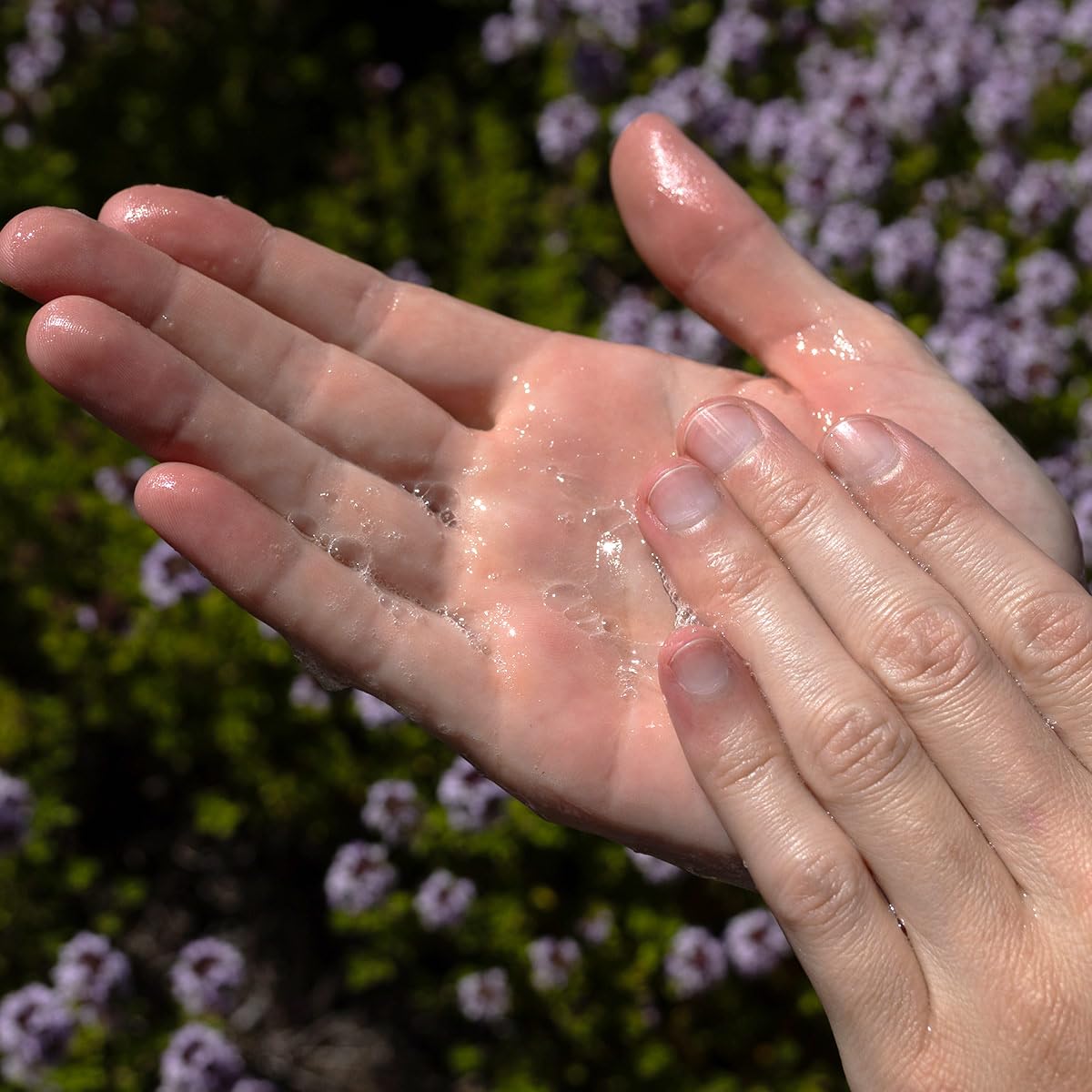 evanhealy Tea Tree Gel Cleanser sea buckthorn extract closeup for nourishment.