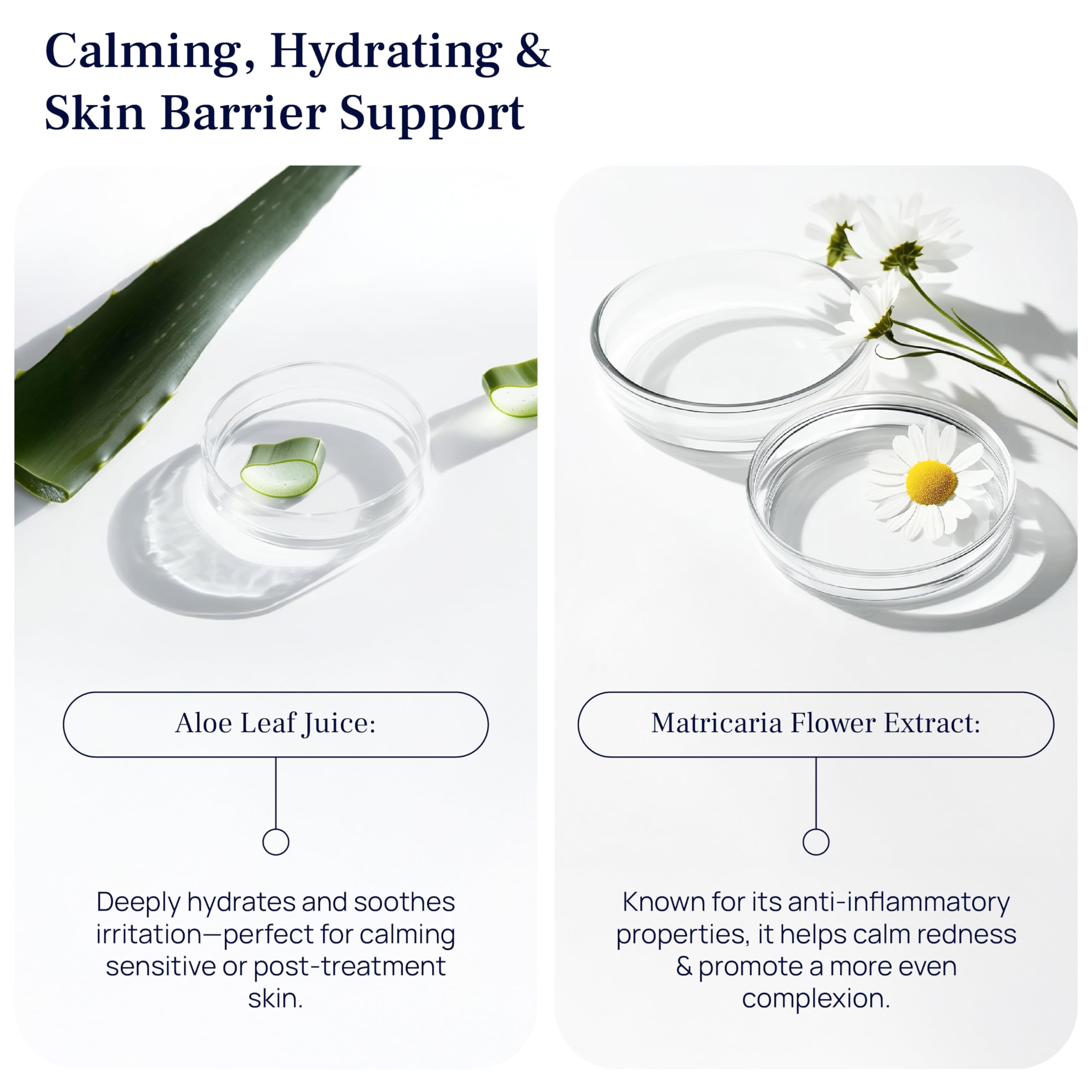 Even Glow serum absorbed quickly into the skin.