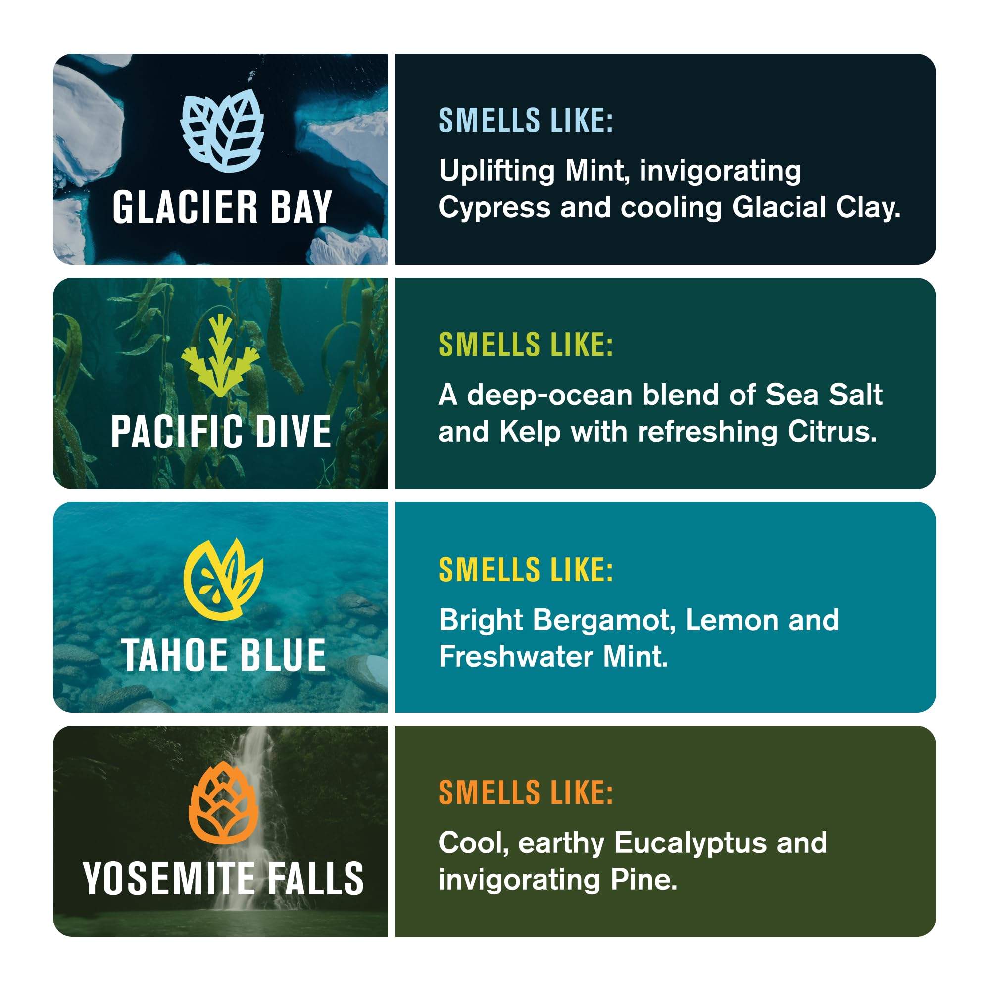 Every Man Jack Cold Plunge Yosemite Falls bar—earthy scent, moisturizing wash.