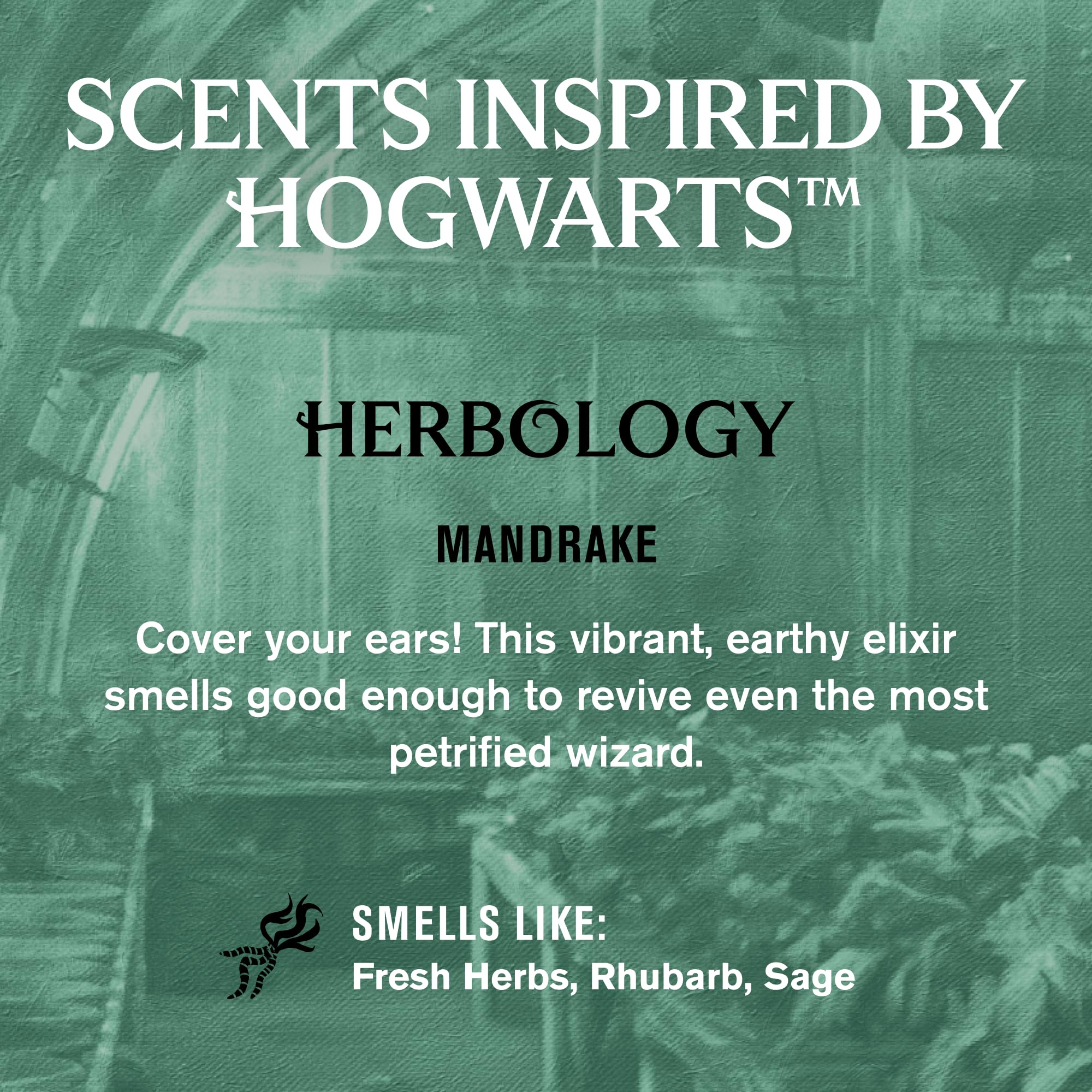 Every Man Jack Metamorphosis scent bottle adds adventure to showers.