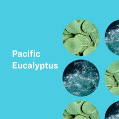 Everyone Liquid Hand Soap Pacific Eucalyptus foaming dispense shows rich lather