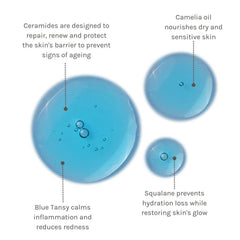 Evolve Blue Tansy oil swirl, promoting calm, nourished skin.