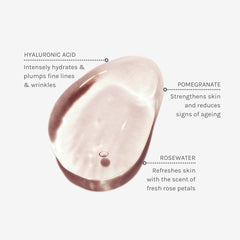 Evolve Organic Beauty pomegranate extract highlights surface refreshment