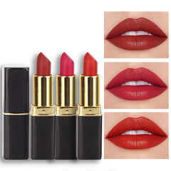 evpct 3Pcs red matte lipstick set packaging, elegant gift-ready presentation.