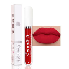 evpct Bright Sexy Red Lipstick Set packaging for gift-ready presentation.