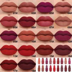 evpct clear compact box holding lipstick collection for on-the-go touchups.