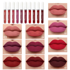 evpct lipstick tubes close-up displaying vibrant shades for daily wear.