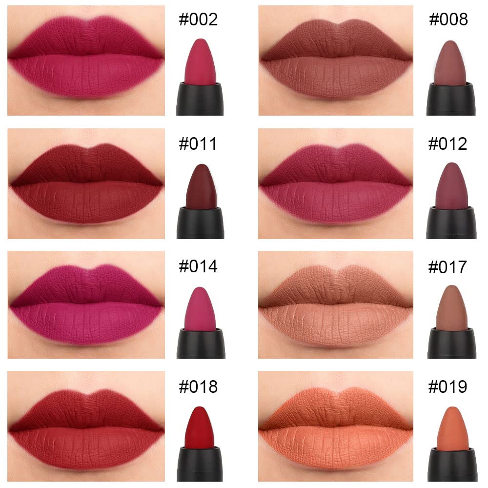 evpct matte lipstick swatch display, showing rich color range for everyday looks.