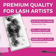 Eyesy Lash 500 promade fans case highlights efficient storage and quantity.