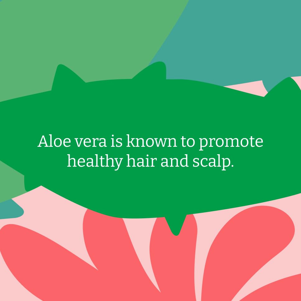 Faith in Nature Rejuvenating Aloe Vera Shampoo eco packaging emphasizes cruelty-free, vegan use