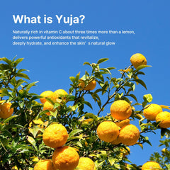 FARMSTAY Citrus Yuja Serum in hand for daily skincare ritual.
